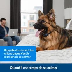 PetSafe ANTI ABOIEMENT SONORE RECHARGEABLE 9 PetSafe ANTI ABOIEMENT SONORE RECHARGEABLE -Le monde de la chasse Magasin anti aboiement sonore rechargeable 2