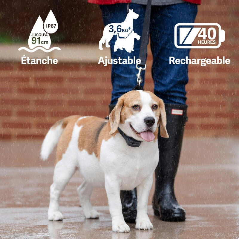 PetSafe ANTI ABOIEMENT SONORE RECHARGEABLE 4 PetSafe ANTI ABOIEMENT SONORE RECHARGEABLE – Image 4