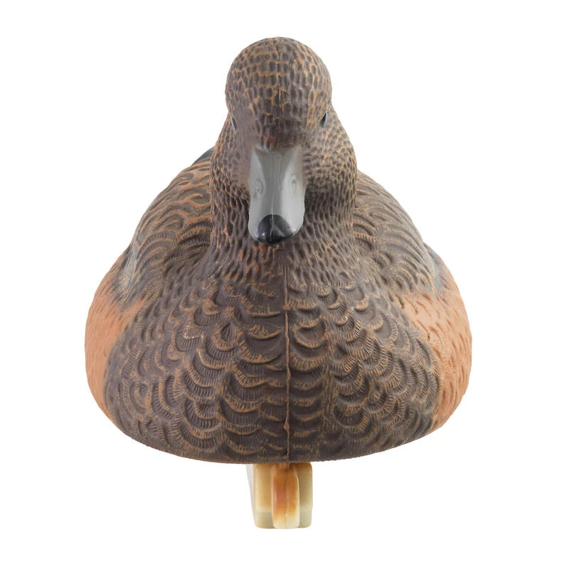 APPELANT SIFFLEUR FEMELLE HD 4 APPELANT SIFFLEUR FEMELLE HD – Image 4