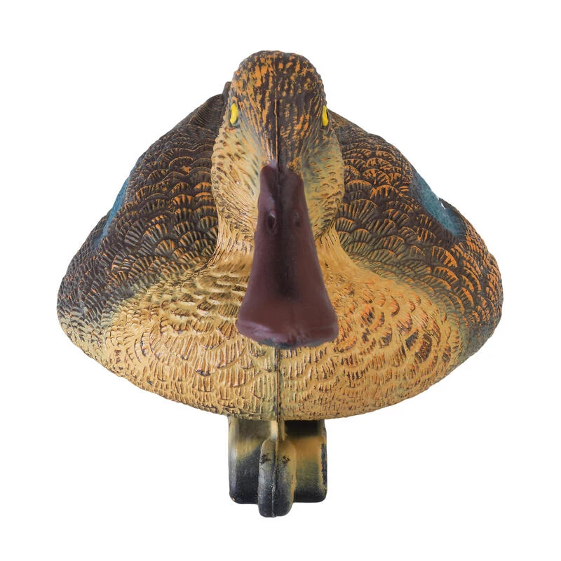 APPELANT SOUCHET FEMELLE 2 APPELANT SOUCHET FEMELLE – Image 2