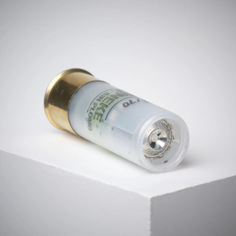 BALLE BRENNEKE SANS PLOMB 19 G CALIBRE 12/70 X 5 4 BALLE BRENNEKE SANS PLOMB 19 G CALIBRE 12/70 X 5 – Image 4