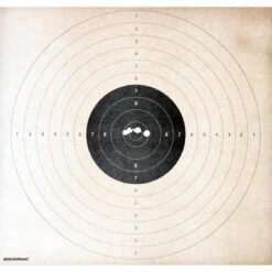 BALLE SANS PLOMB SPEED CALIBRE 12 X 5 13 BALLE SANS PLOMB SPEED CALIBRE 12 X 5 -Le monde de la chasse Magasin balle sans plomb speed calibre 12 x 5 6