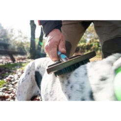 No Brand BROSSE DE MASSAGE POUR CHIEN 7 No Brand BROSSE DE MASSAGE POUR CHIEN -Le monde de la chasse Magasin brosse de massage pour chien 3