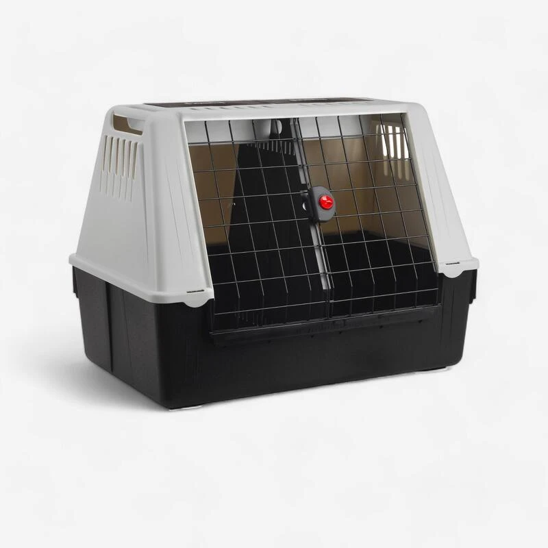 Caisse De Transport Pour 2 Chiens Taille L 82x51x61cm 1 Caisse De Transport Pour 2 Chiens Taille L 82x51x61cm