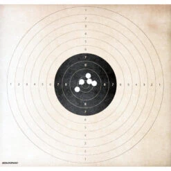 Cartouche Balle Slug 28gr CAL12/67 X10 13 Cartouche Balle Slug 28gr CAL12/67 X10 -Le monde de la chasse Magasin cartouche balle slug 28gr cal1267 x10 6