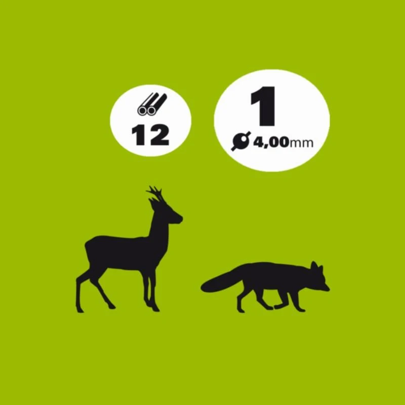 CARTOUCHE CHEVREUIL 38g CALIBRE 12/70 PLOMB N°1 X10 2 CARTOUCHE CHEVREUIL 38g CALIBRE 12/70 PLOMB N°1 X10 – Image 2