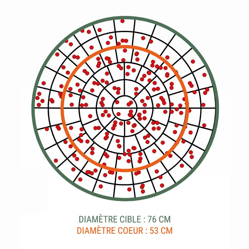 CARTOUCHE L100 36g PIGEON CALIBRE 12/70 PLOMB N°6 X25 3 CARTOUCHE L100 36g PIGEON CALIBRE 12/70 PLOMB N°6 X25 – Image 3