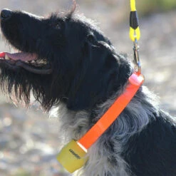 Cloche ALP Jaune -Le monde de la chasse Magasin cloche alp jaune 2