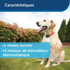 Clôture Anti-fugue Invisible Pour Chien Petsafe 18 Clôture Anti-fugue Invisible Pour Chien Petsafe -Le monde de la chasse Magasin cloture anti fugue invisible pour chien petsafe 8