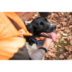 Collier Anti-aboiement Pour Chien Num'axes Canicalm Premium 5 Collier Anti-aboiement Pour Chien Num'axes Canicalm Premium -Le monde de la chasse Magasin collier anti aboiement pour chien numaxes canicalm premium 2