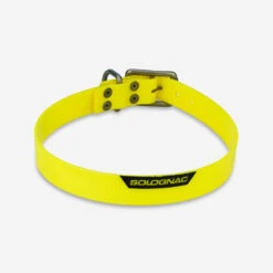 Collier Chien Jaune Fluo 500