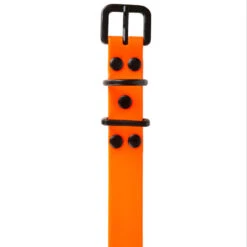 Collier Chien Orange Fluo 500 15 Collier Chien Orange Fluo 500 -Le monde de la chasse Magasin collier chien orange fluo 500 7