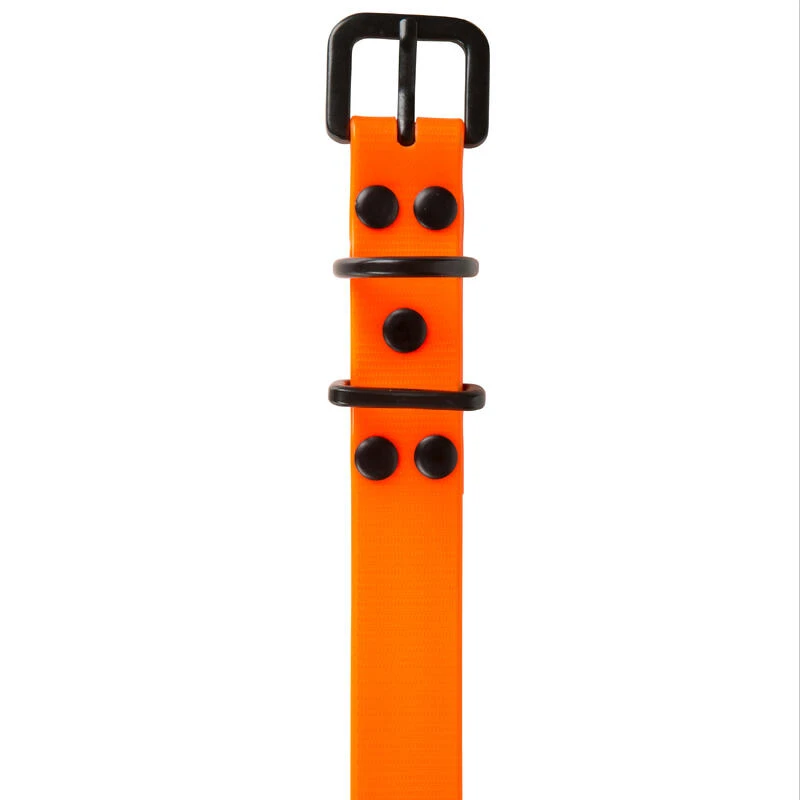 Collier Chien Orange Fluo 500 8 Collier Chien Orange Fluo 500 – Image 8