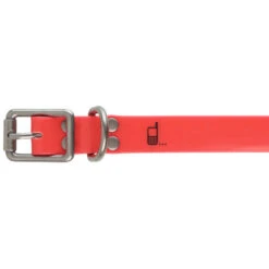 Collier Chien Rouge 500 8 Collier Chien Rouge 500 -Le monde de la chasse Magasin collier chien rouge 500 3
