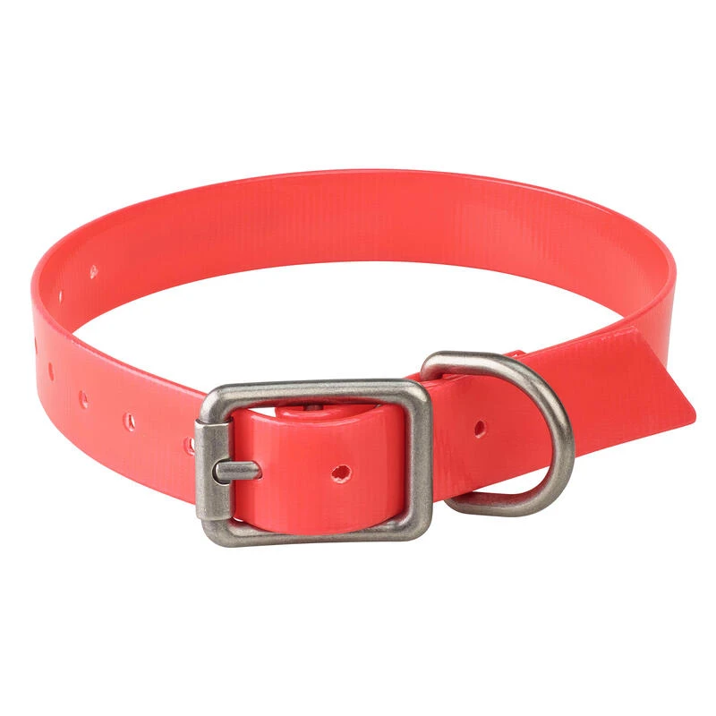 Collier Chien Rouge 500 1 Collier Chien Rouge 500
