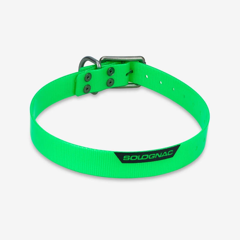 Collier Chien Vert Fluo 500 1 Collier Chien Vert Fluo 500
