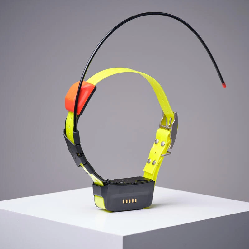 Collier Supplémentaire De Repérage Pour Chien Garmin T5X 2 Collier Supplémentaire De Repérage Pour Chien Garmin T5X – Image 2