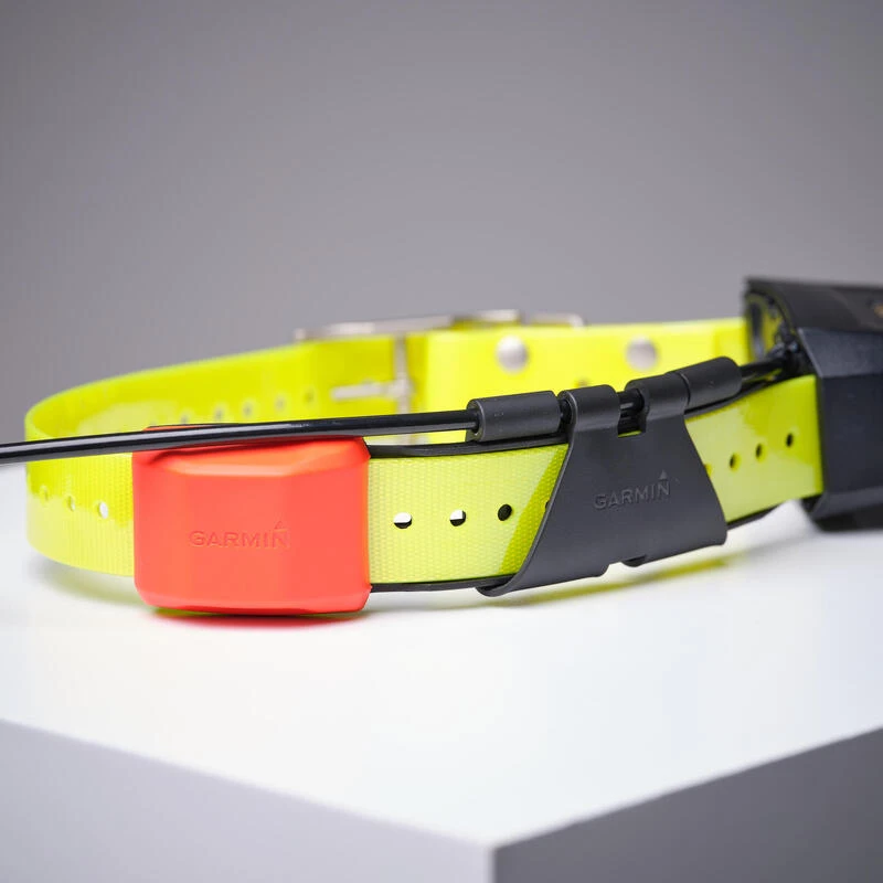 Collier Supplémentaire De Repérage Pour Chien Garmin T5X 7 Collier Supplémentaire De Repérage Pour Chien Garmin T5X – Image 7