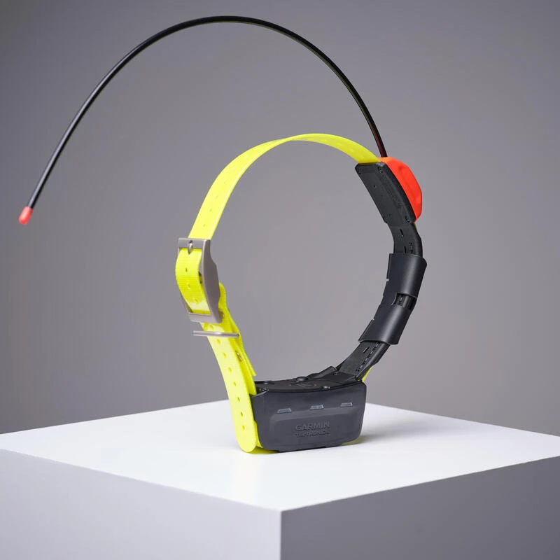 Collier Supplémentaire De Repérage Pour Chien Garmin T5X 1 Collier Supplémentaire De Repérage Pour Chien Garmin T5X