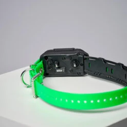 COLLIER SUPPLEMENTAIRE REPERAGE & DRESSAGE DOGTRA PATHFINDER V2. -Le monde de la chasse Magasin collier supplementaire reperage and dressage dogtra pathfinder v2 5