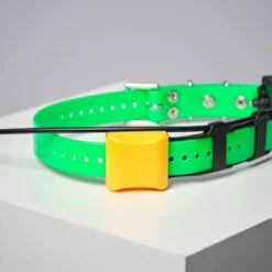 COLLIER SUPPLEMENTAIRE REPERAGE & DRESSAGE DOGTRA PATHFINDER V2. -Le monde de la chasse Magasin collier supplementaire reperage and dressage dogtra pathfinder v2 6