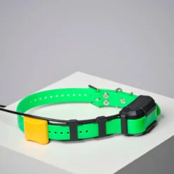 COLLIER SUPPLEMENTAIRE REPERAGE & DRESSAGE DOGTRA PATHFINDER V2. -Le monde de la chasse Magasin collier supplementaire reperage and dressage dogtra pathfinder v2 7