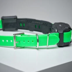 Collier Supplémentaire Repérage Et Dressage Pour Chien Dogtra Pathfinder 10 Collier Supplémentaire Repérage Et Dressage Pour Chien Dogtra Pathfinder -Le monde de la chasse Magasin collier supplementaire reperage et dressage pour chien dogtra pathfinder 2