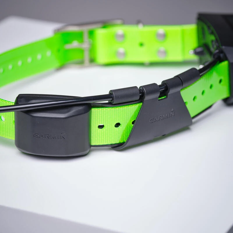 Collier Supplémentaire Repérage Et Dressage Pour Chien Garmin TT15X 6 Collier Supplémentaire Repérage Et Dressage Pour Chien Garmin TT15X – Image 6