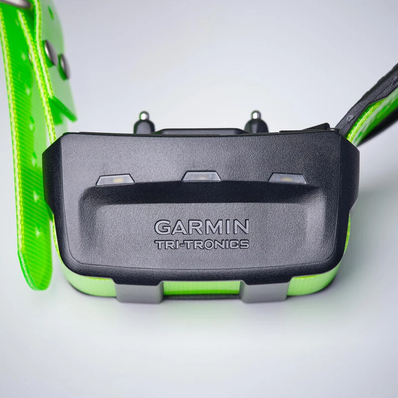 Collier Supplémentaire Repérage Et Dressage Pour Chien Garmin TT15X 7 Collier Supplémentaire Repérage Et Dressage Pour Chien Garmin TT15X – Image 7