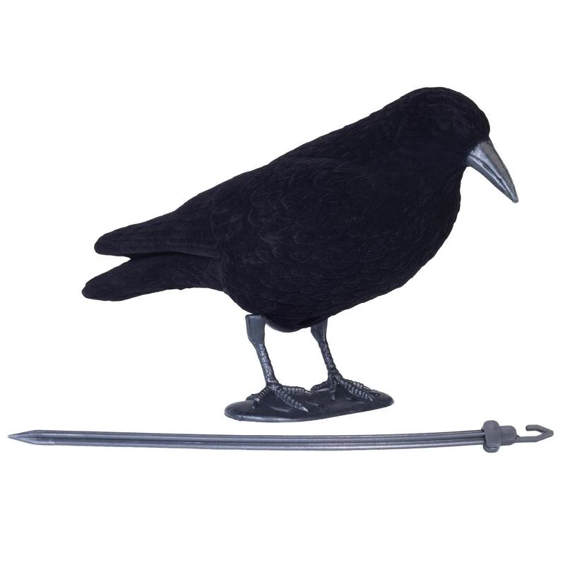 FORME CORBEAU FLOQUE 2 FORME CORBEAU FLOQUE – Image 2