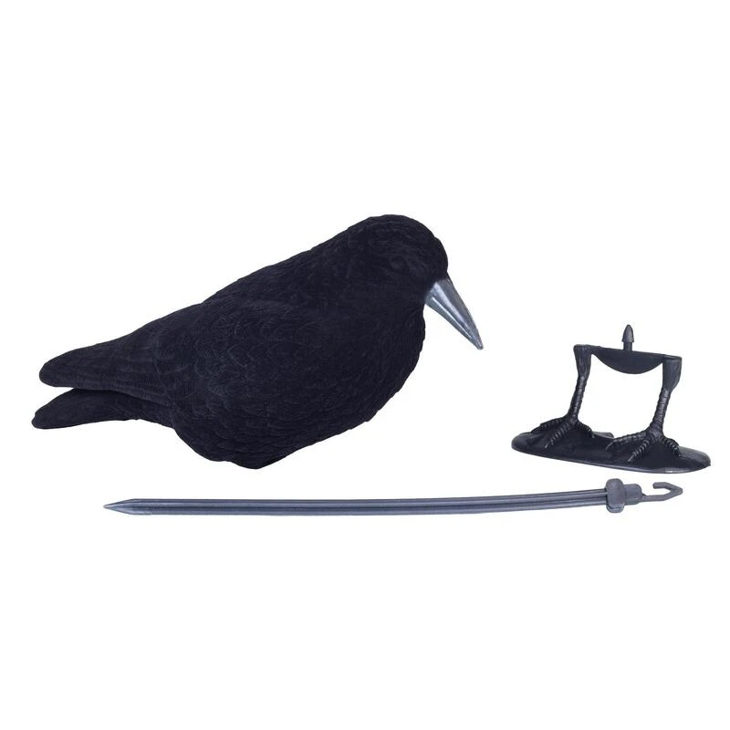 FORME CORBEAU FLOQUE 7 FORME CORBEAU FLOQUE – Image 7