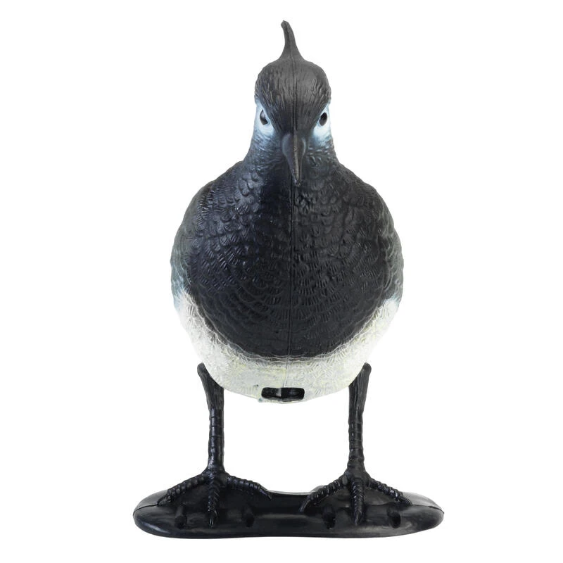 WEDZE FORME VANNEAU 2 WEDZE FORME VANNEAU – Image 2