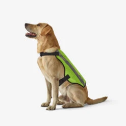 GILET CHIEN CHASSE JAUNE 100 -Le monde de la chasse Magasin gilet chien chasse jaune 100 1