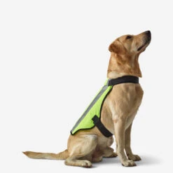 GILET CHIEN CHASSE JAUNE 100 -Le monde de la chasse Magasin gilet chien chasse jaune 100 2