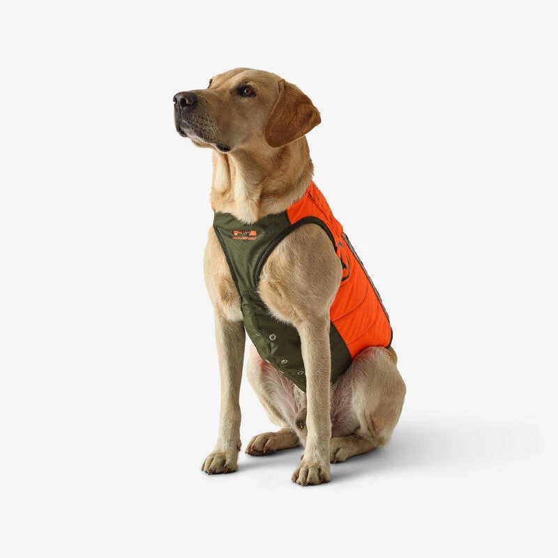 Gilet De Protection Pour Chien Supertrack 4 Gilet De Protection Pour Chien Supertrack – Image 4