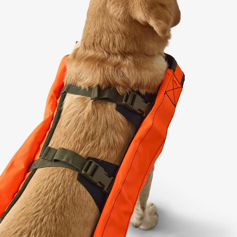 Gilet De Protection Pour Chien Supertrack 5 Gilet De Protection Pour Chien Supertrack – Image 5