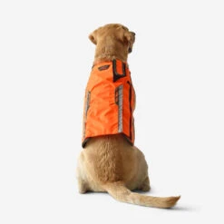 Gilet De Protection Pour Chien Supertrack 11 Gilet De Protection Pour Chien Supertrack -Le monde de la chasse Magasin gilet de protection pour chien supertrack 5