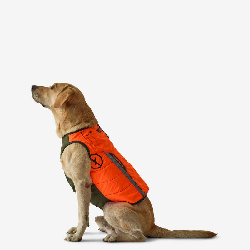 Gilet De Protection Pour Chien Supertrack 1 Gilet De Protection Pour Chien Supertrack