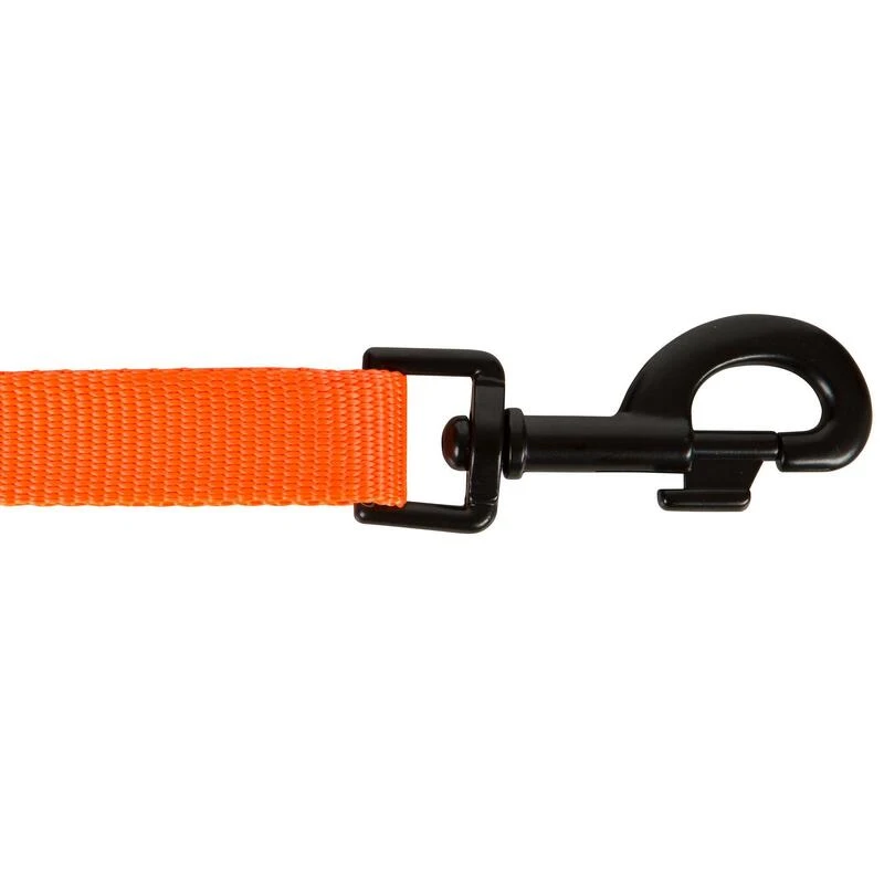 Laisse Chien Orange 100 6 Laisse Chien Orange 100 – Image 6