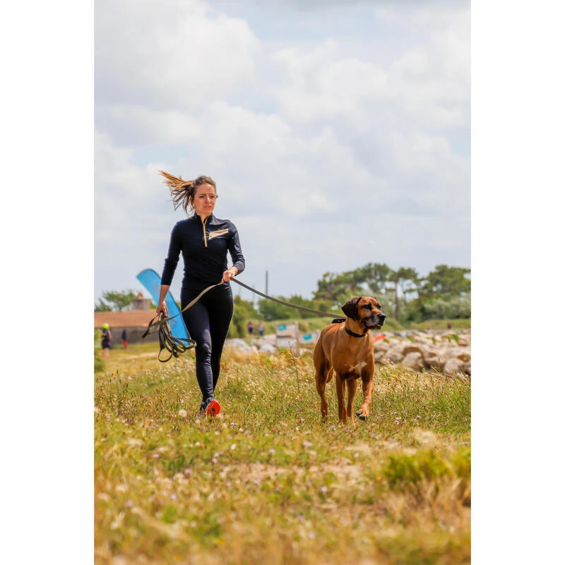 Longe Pour Chien 10 Mètres 100 Verte 2 Longe Pour Chien 10 Mètres 100 Verte – Image 2