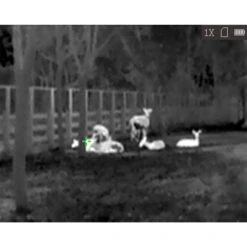 HikMicro Monoculaire De Vision Thermique Hik Micro Lynx Pro LE10 17 HikMicro Monoculaire De Vision Thermique Hik Micro Lynx Pro LE10 -Le monde de la chasse Magasin monoculaire de vision thermique hik micro lynx pro le10 7