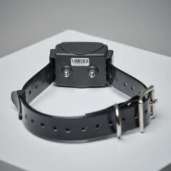 Pack Collier + Télécommande De Dressage Pour Chien Num'axes Canicom 300 11 Pack Collier + Télécommande De Dressage Pour Chien Num'axes Canicom 300 -Le monde de la chasse Magasin pack collier telecommande de dressage pour chien numaxes canicom 300 4