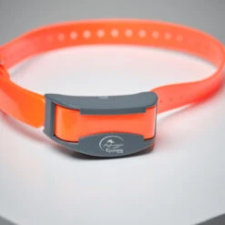 Pack Collier + Télécommande De Dressage Pour Chien Sportdog SD-875 12 Pack Collier + Télécommande De Dressage Pour Chien Sportdog SD-875 -Le monde de la chasse Magasin pack collier telecommande de dressage pour chien sportdog sd 875 3