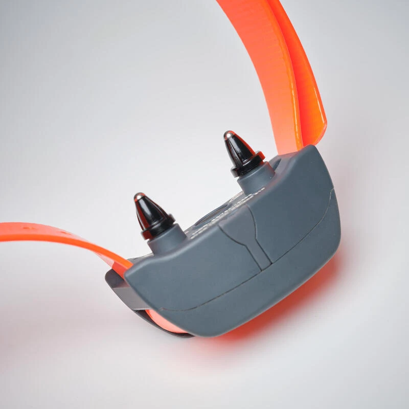 Pack Collier + Télécommande De Dressage Pour Chien Sportdog SD-875 6 Pack Collier + Télécommande De Dressage Pour Chien Sportdog SD-875 – Image 6