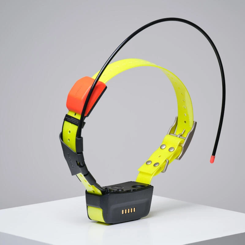 PACK COLLIER + TÉLÉCOMMANDE DE REPÉRAGE/DRESSAGE CHIEN GARMIN ALPHA 200 T5X 2 PACK COLLIER + TÉLÉCOMMANDE DE REPÉRAGE/DRESSAGE CHIEN GARMIN ALPHA 200 T5X – Image 2