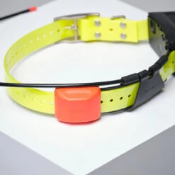 PACK COLLIER + TÉLÉCOMMANDE DE REPÉRAGE/DRESSAGE CHIEN GARMIN ALPHA 200 T5X 17 PACK COLLIER + TÉLÉCOMMANDE DE REPÉRAGE/DRESSAGE CHIEN GARMIN ALPHA 200 T5X -Le monde de la chasse Magasin pack collier telecommande de reperagedressage chien garmin alpha 200 t5x 7