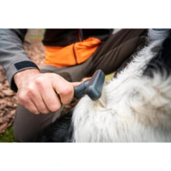 No Brand PEIGNE 37 DENTS POUR CHIEN 9 No Brand PEIGNE 37 DENTS POUR CHIEN -Le monde de la chasse Magasin peigne 37 dents pour chien 4